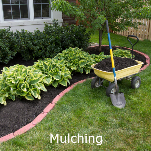 keep weeds out with our mulching service